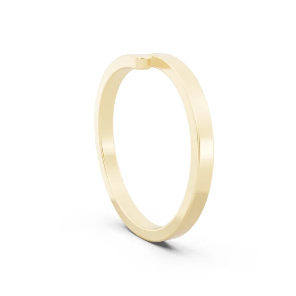 Single Stone Band