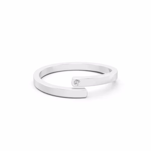 Single Stone Band