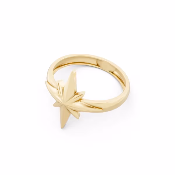 Starlight White Gold Ring 6