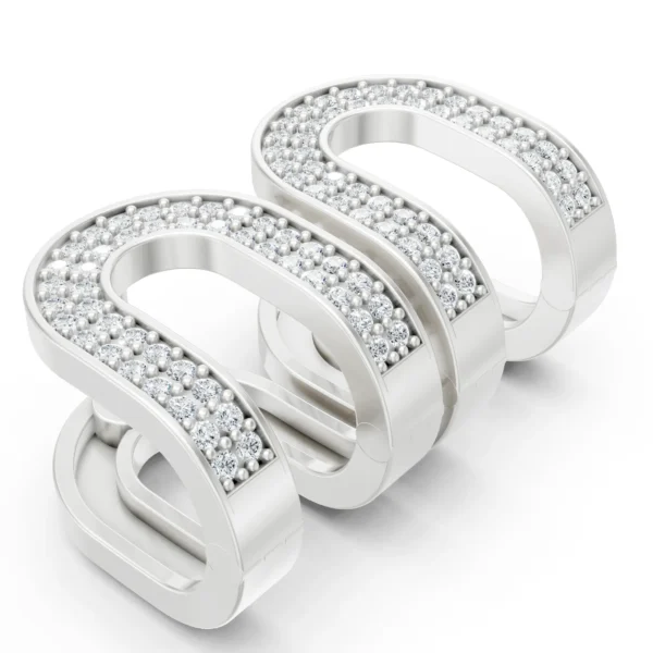 Double Arch Earrings