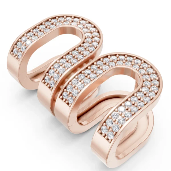 Double Arch Earrings